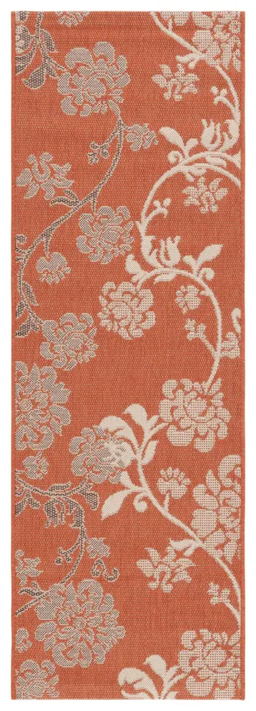 Safavieh Courtyard 2'-3