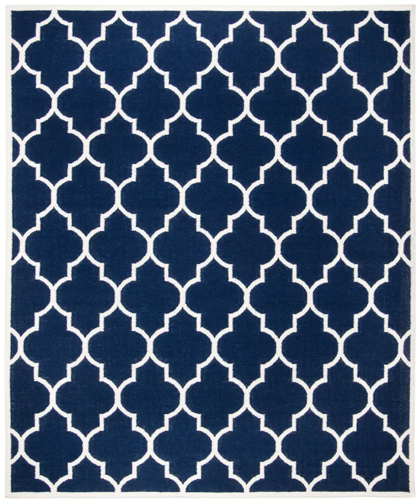 Safavieh Dhurries 10'-0