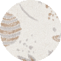 Ivory Multicolor