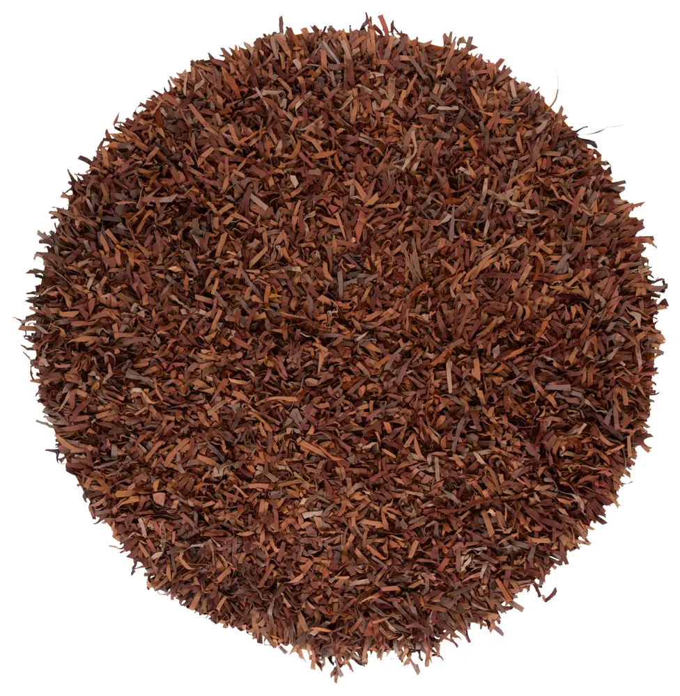 Safavieh Leather Shag 6'-0