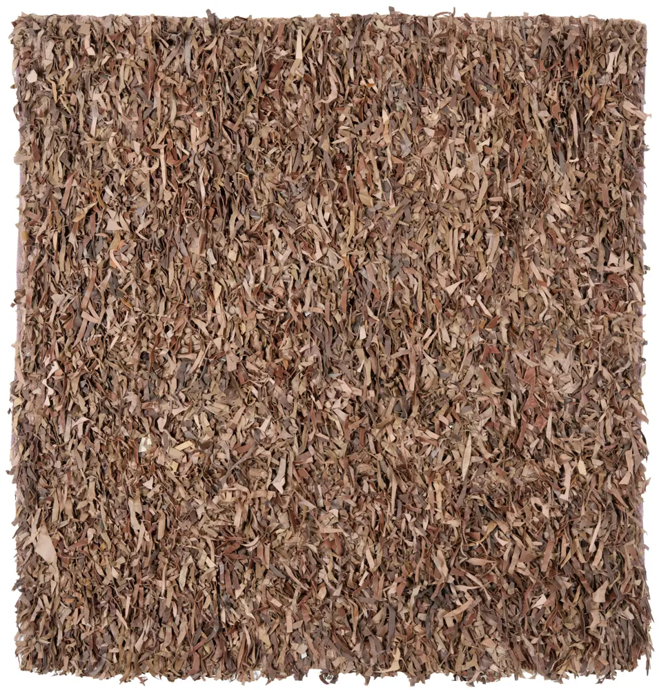 Safavieh Leather Shag 6'-0