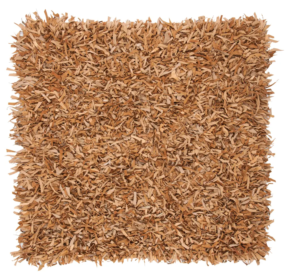 Safavieh Leather Shag 5'-0