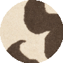 Molasses