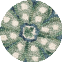 Ivory / Teal