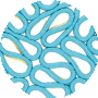 Yellow / Blue