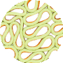 Orange / Green
