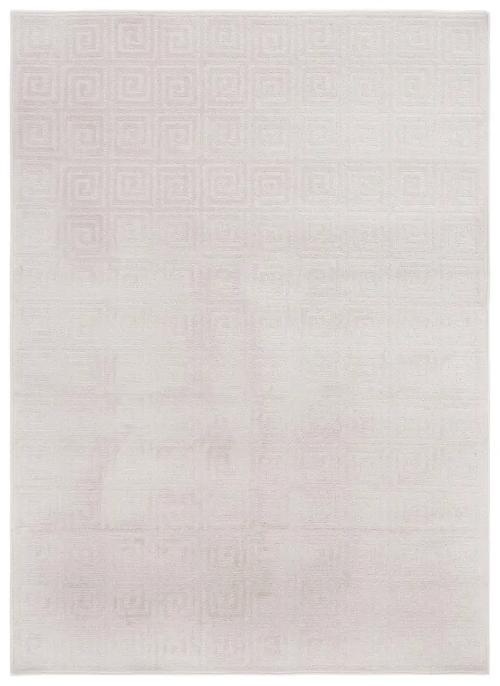 Safavieh Pattern And Solid 5'-3