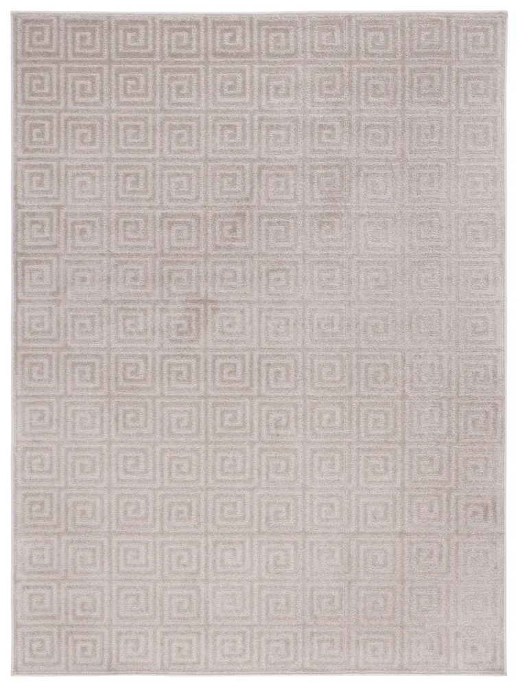 Safavieh Pattern And Solid 5'-3