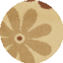 Ivory / Brown