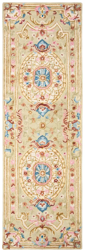 Safavieh Savonnerie 2'-6