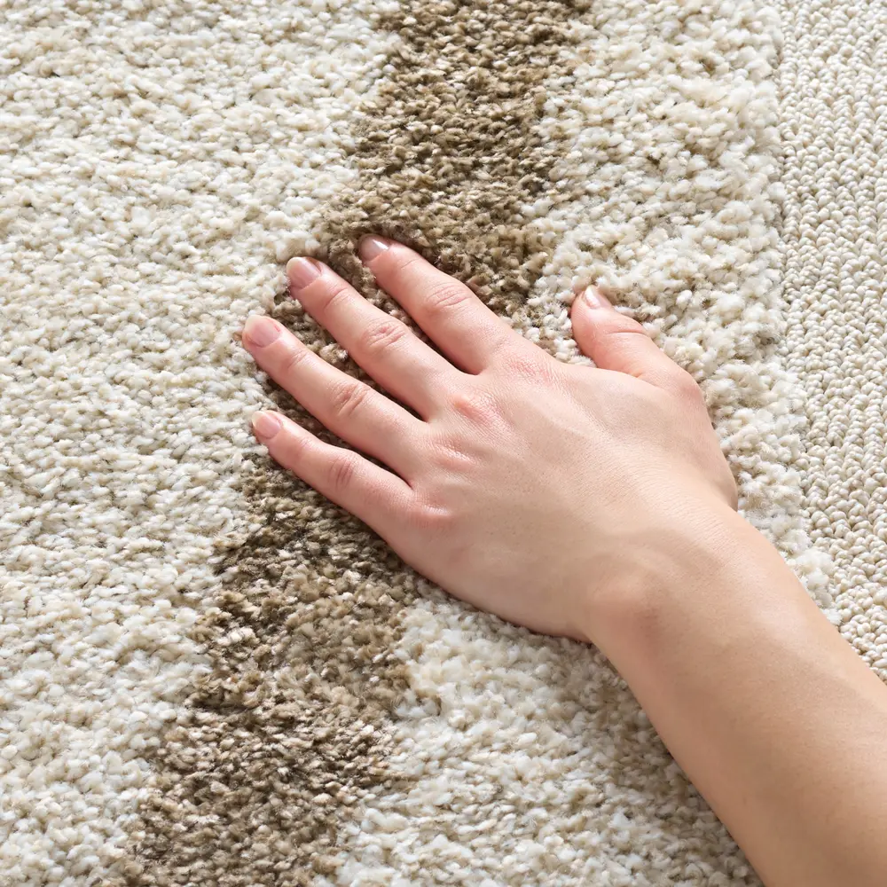 Safavieh Florida Shag 4'-0