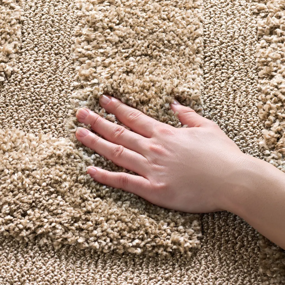 Safavieh Florida Shag 4'-0