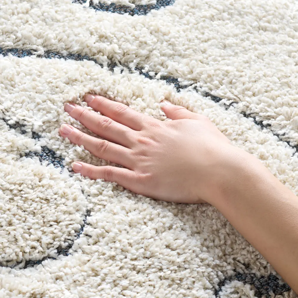 Safavieh Florida Shag 4'-0