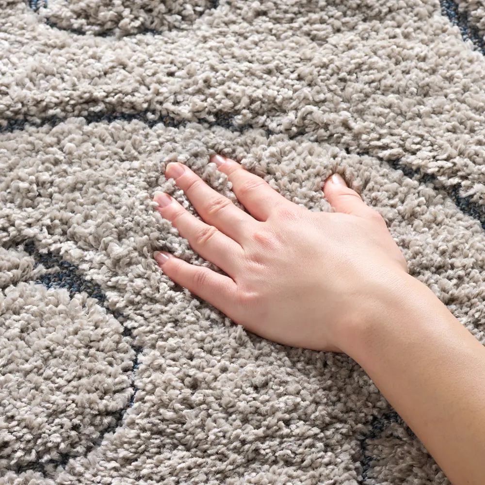 Safavieh Florida Shag 4'-0