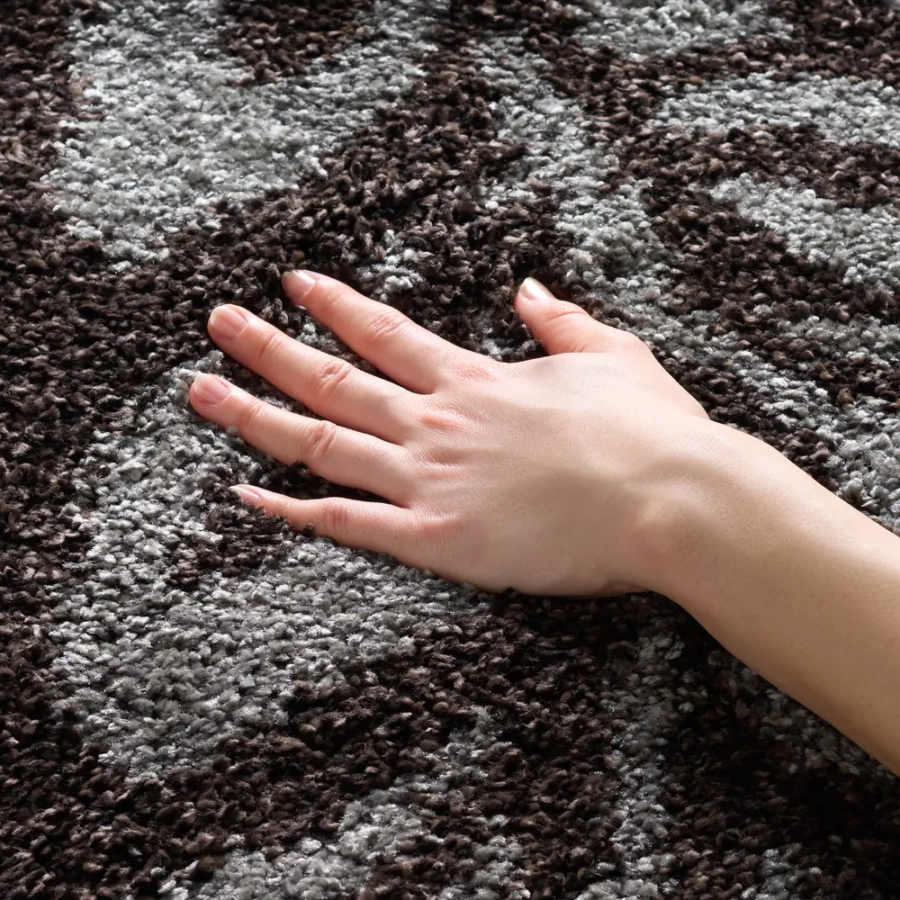 Safavieh Florida Shag 4'-0