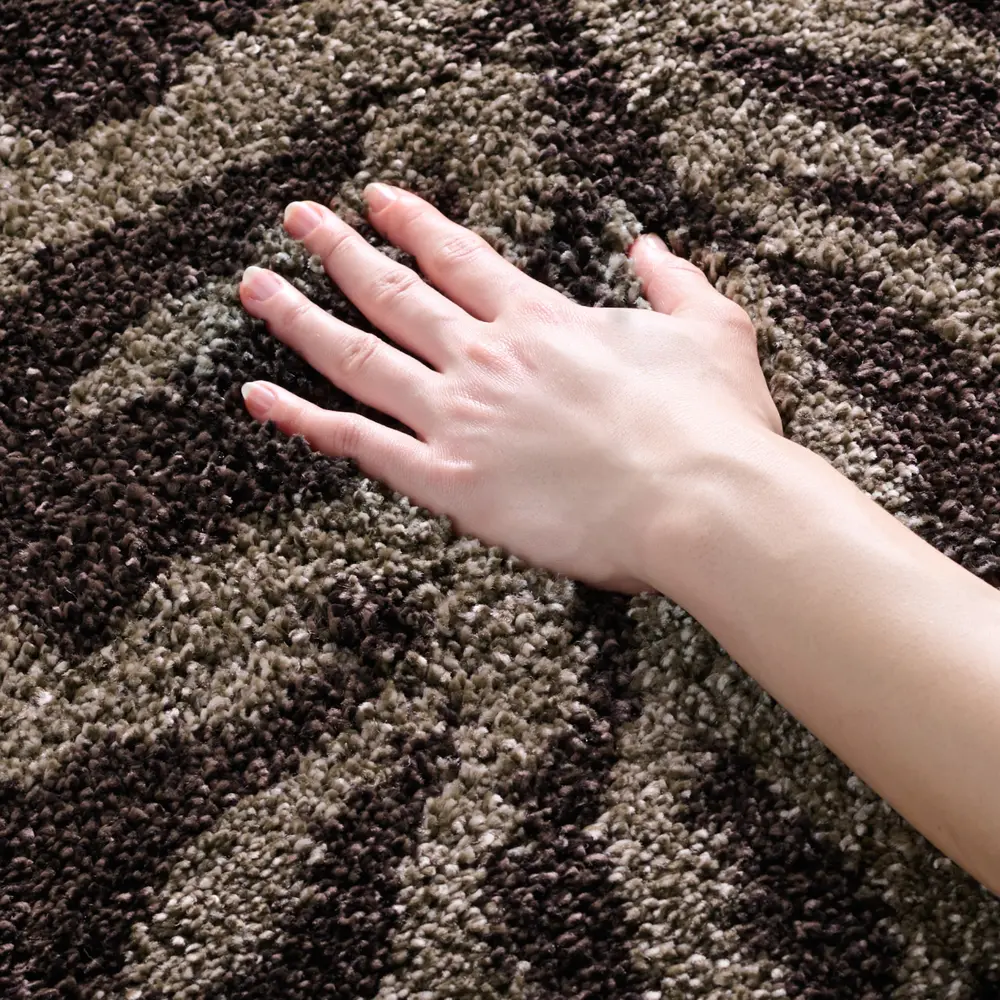 Safavieh Florida Shag 4'-0