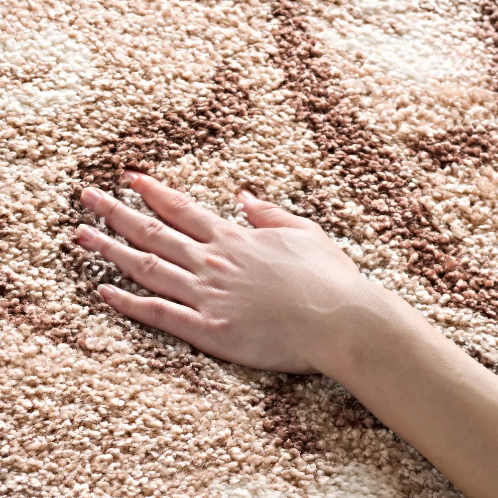 Safavieh Florida Shag 4'-0