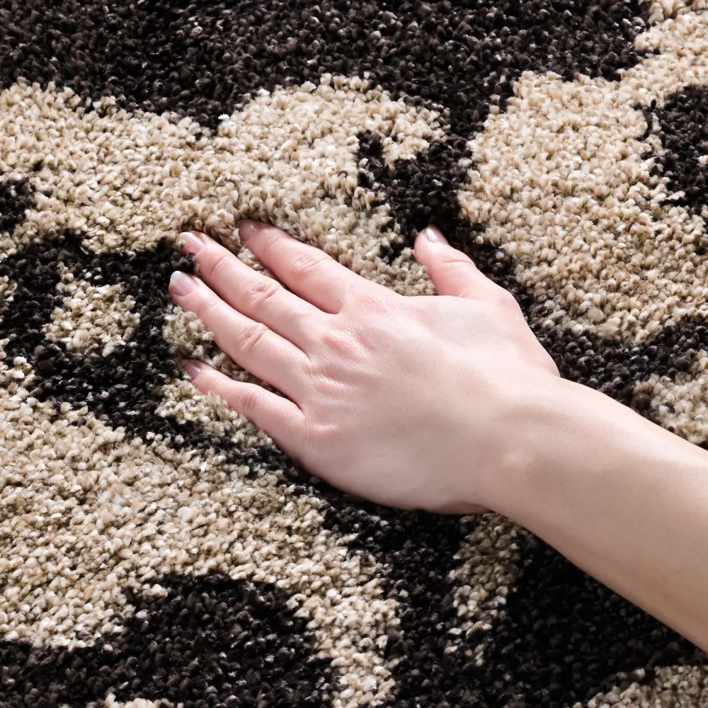 Safavieh Florida Shag 4'-0