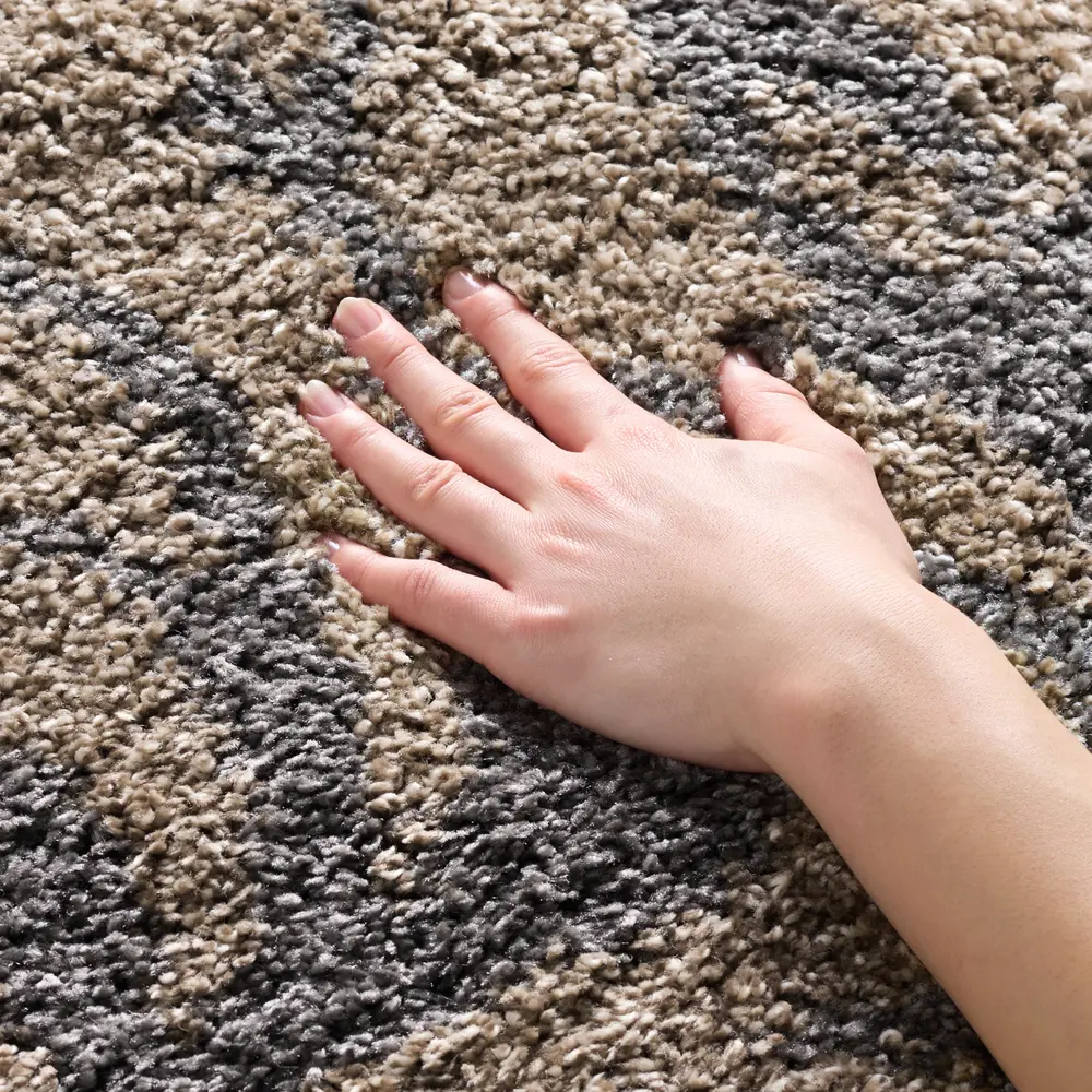 Safavieh Florida Shag 4'-0