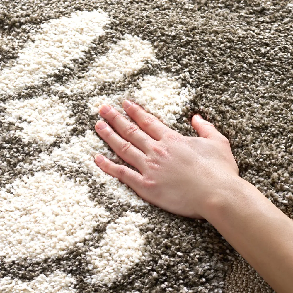 Safavieh Florida Shag 4'-0