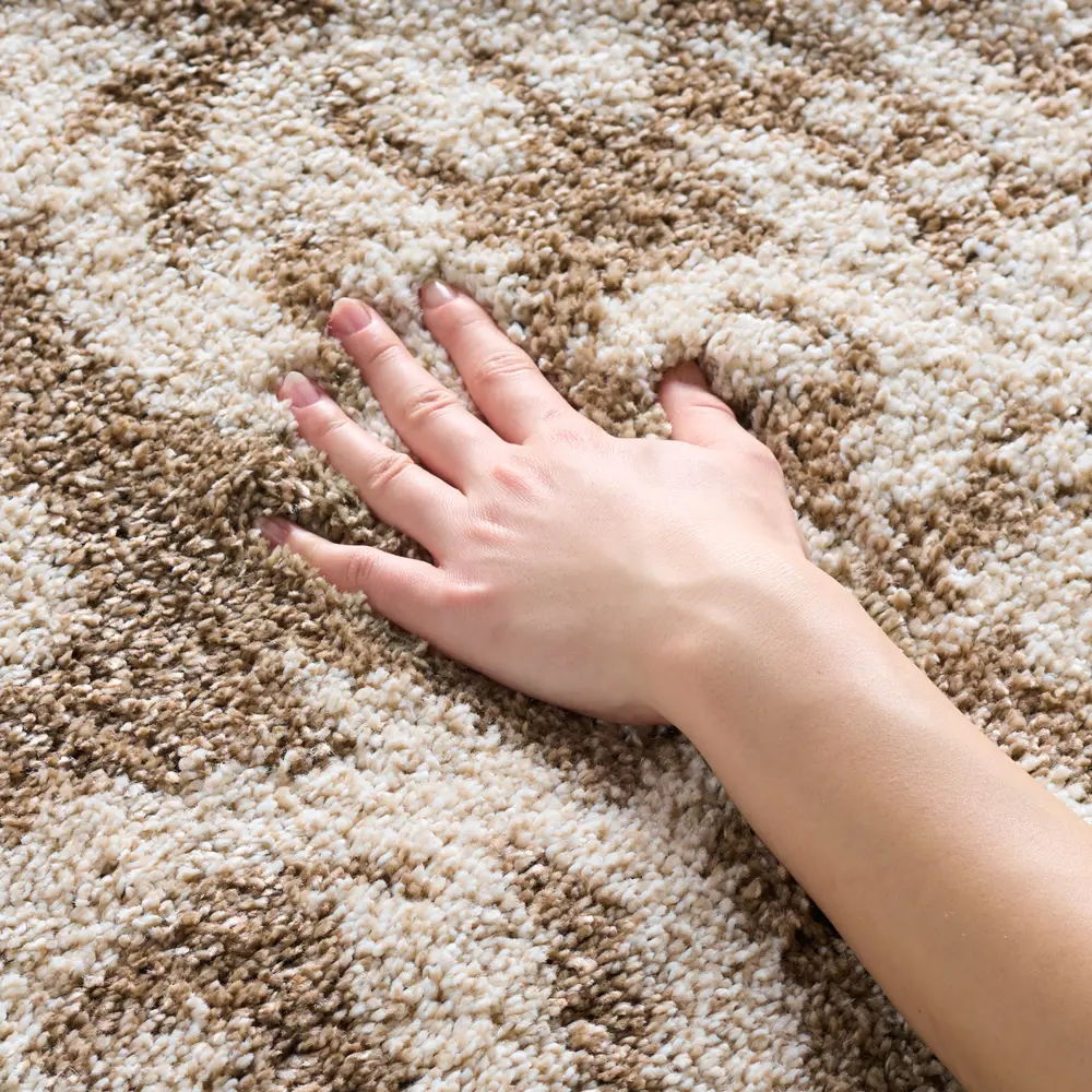 Safavieh Florida Shag 4'-0