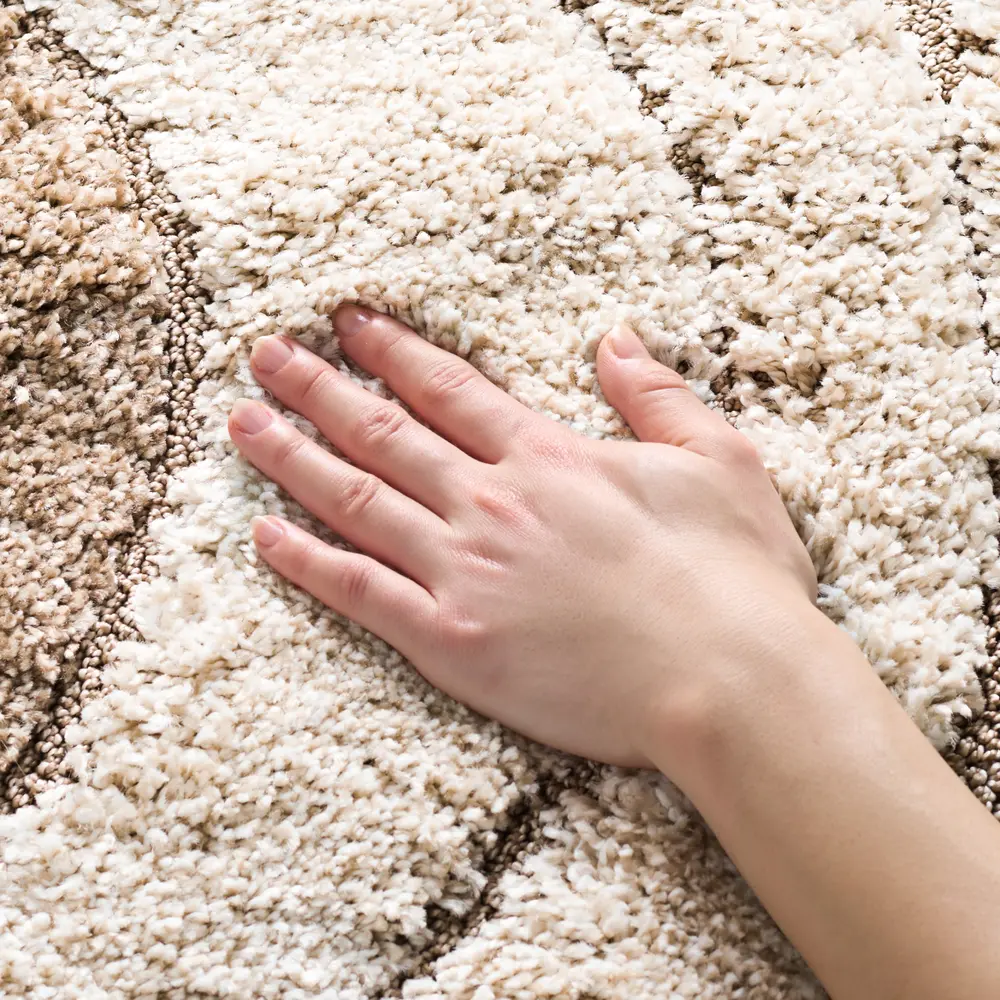 Safavieh Florida Shag 4'-0