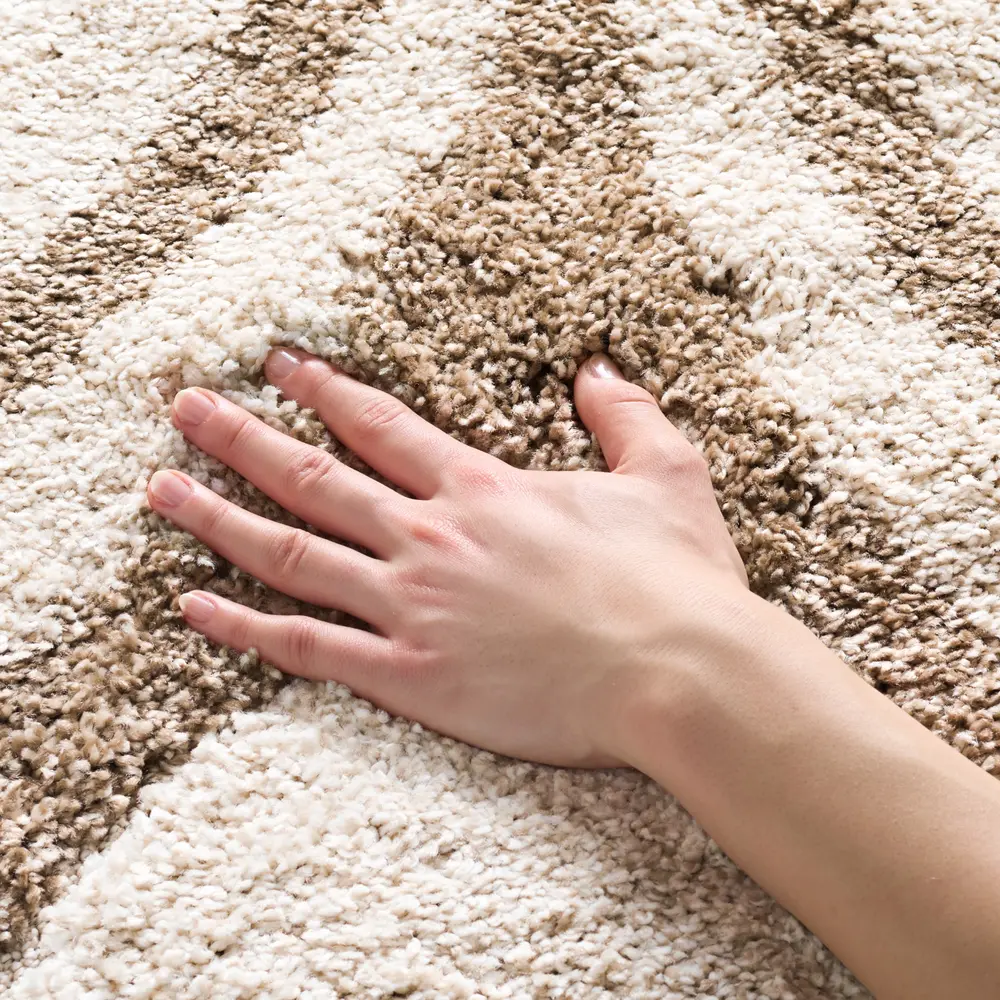 Safavieh Florida Shag 4'-0