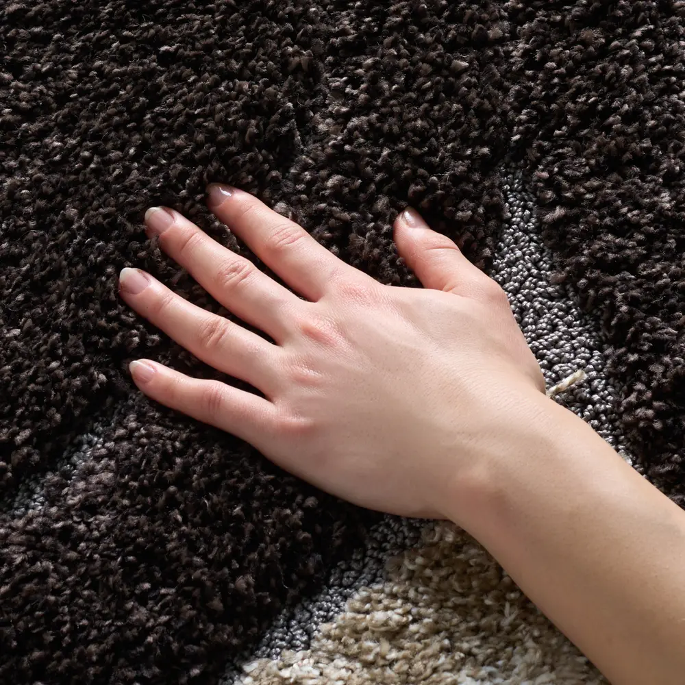 Safavieh Florida Shag 4'-0