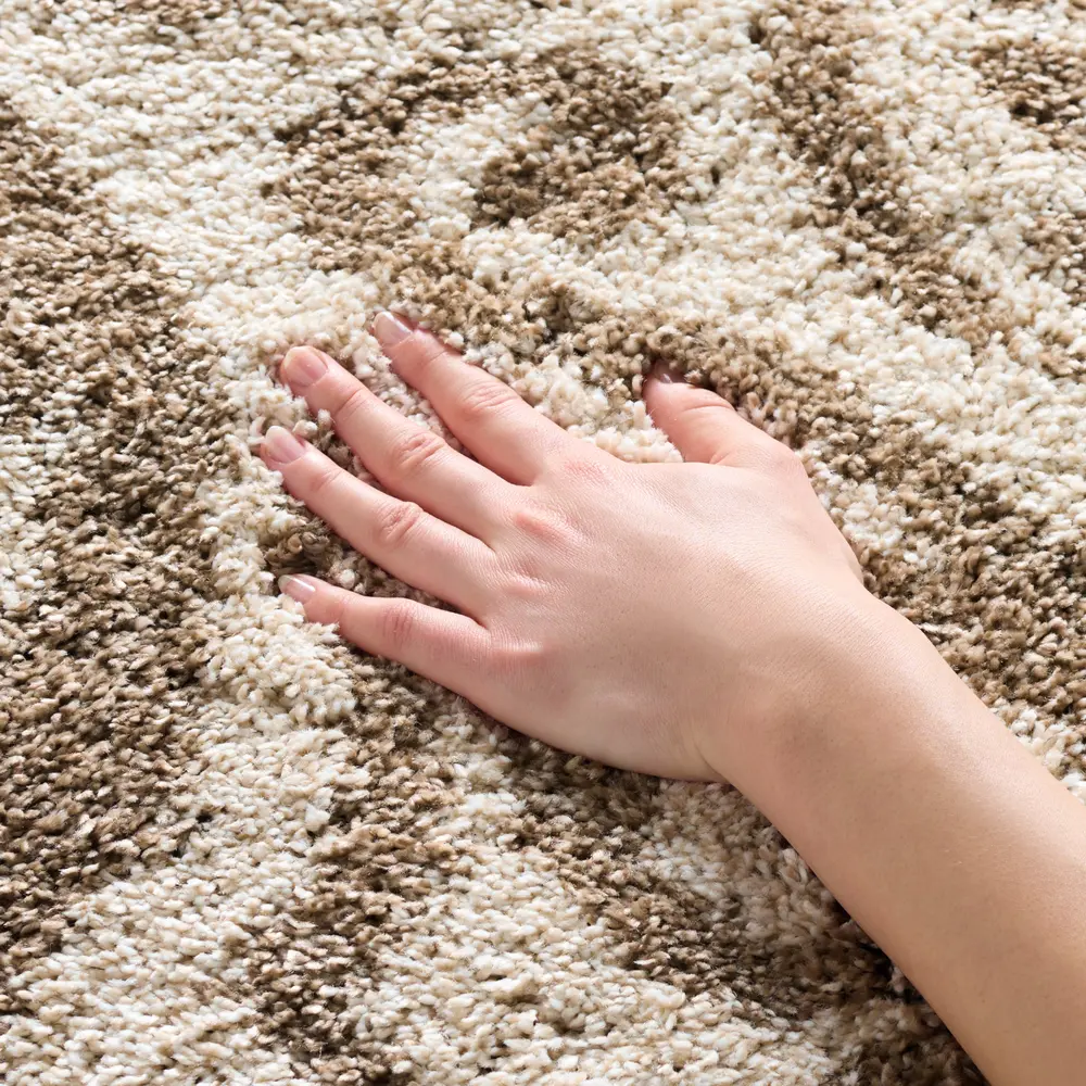 Safavieh Florida Shag 4'-0