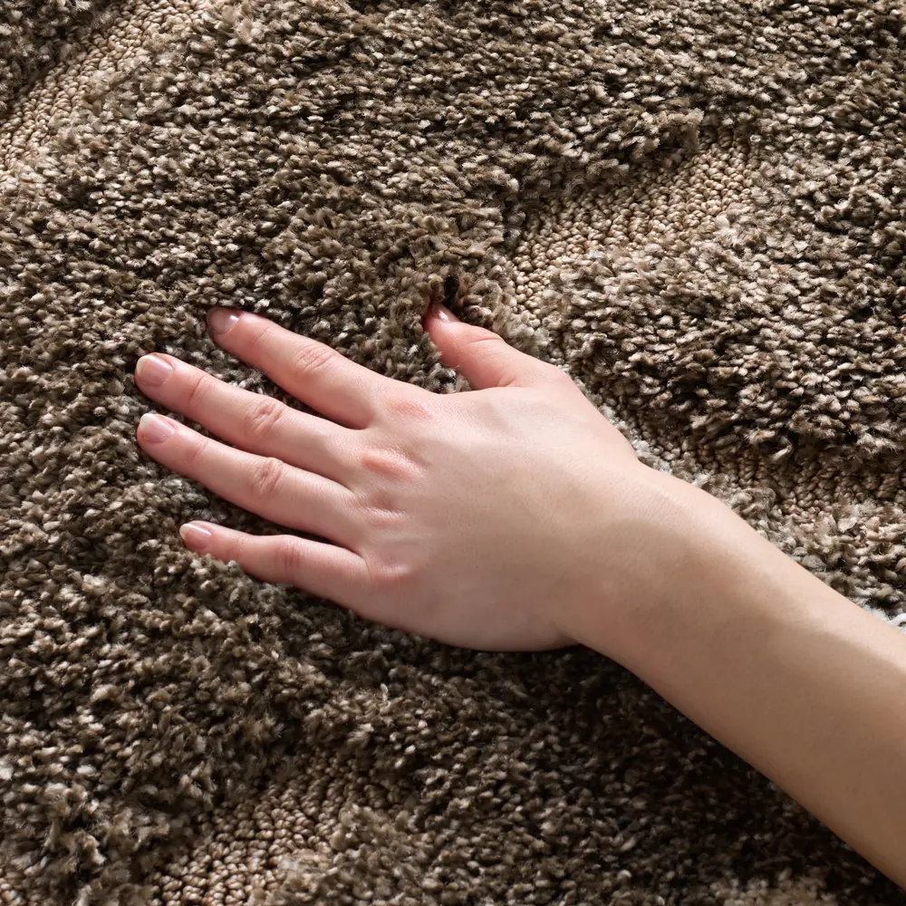 Safavieh Florida Shag 4'-0