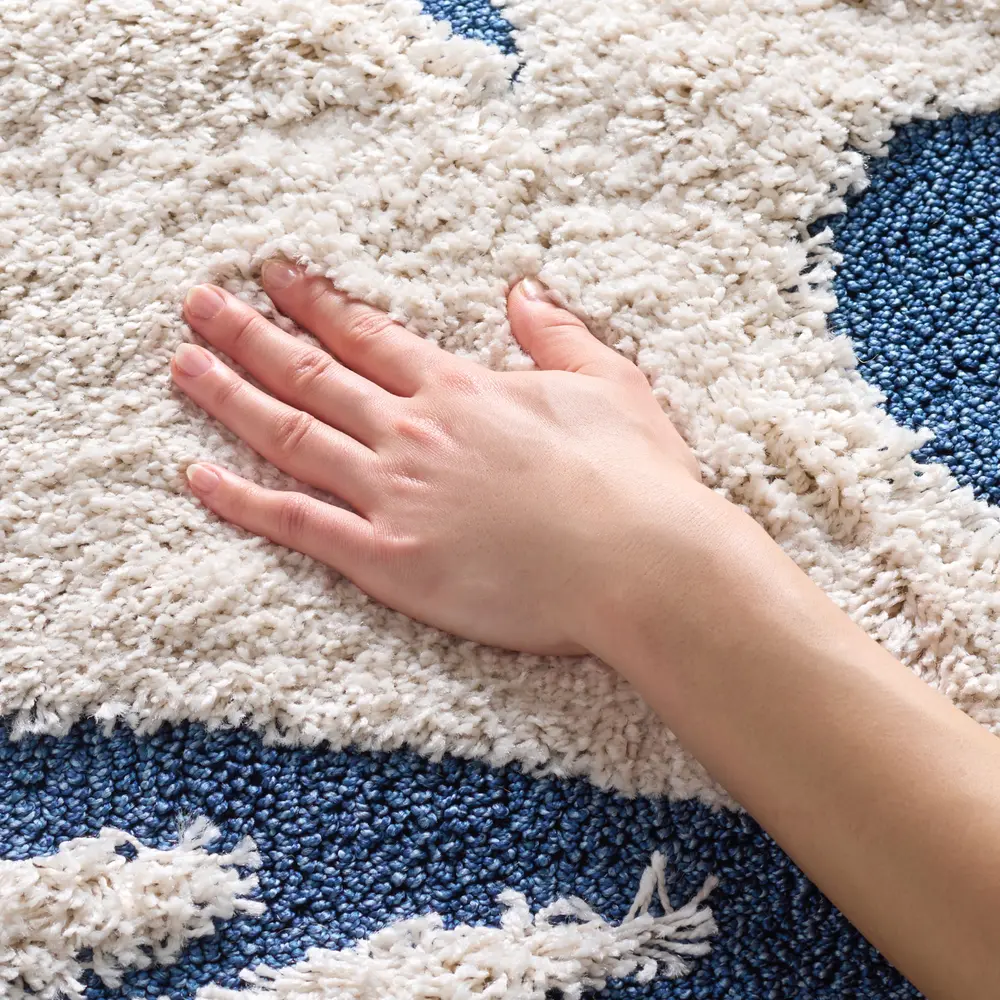 Safavieh Florida Shag 4'-0