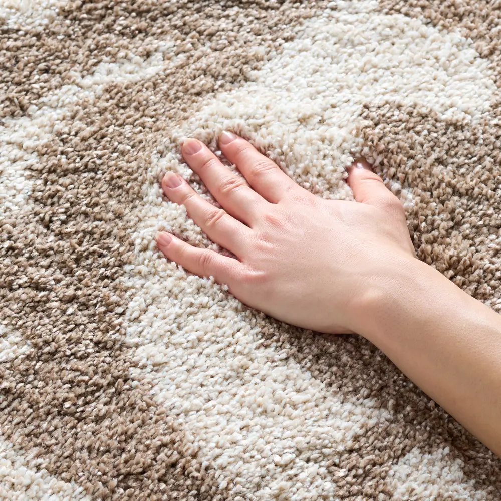 Safavieh Florida Shag 4'-0