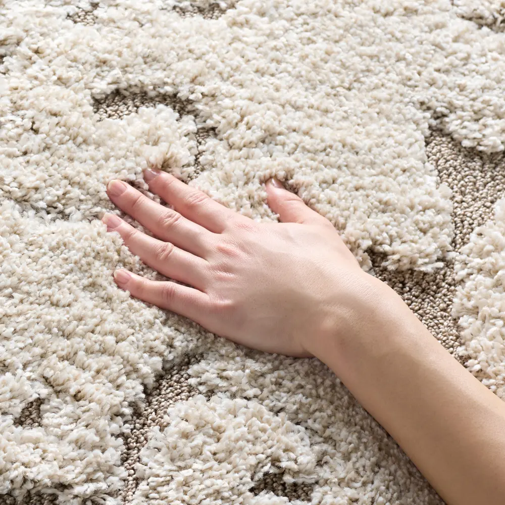 Safavieh Florida Shag 4'-0