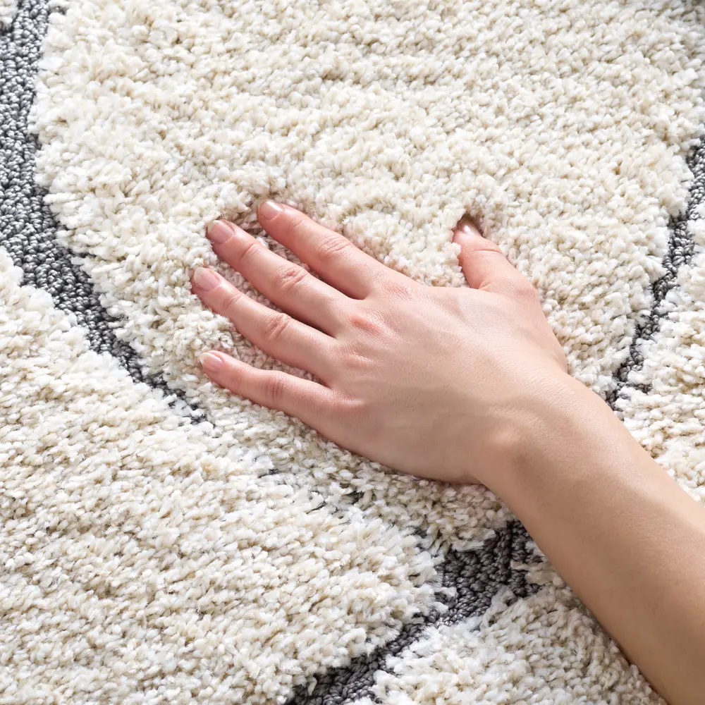 Safavieh Florida Shag 4'-0