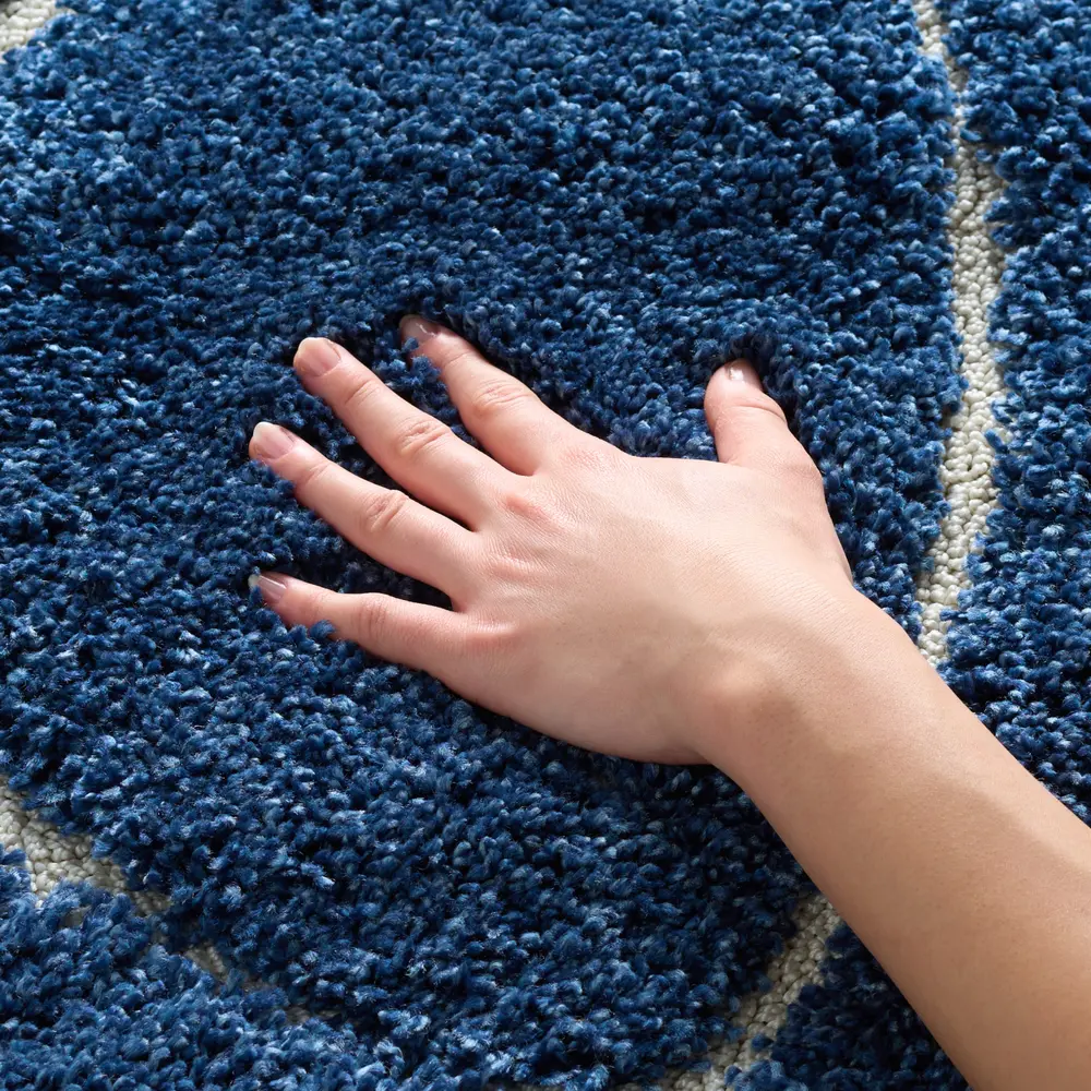 Safavieh Florida Shag 4'-0