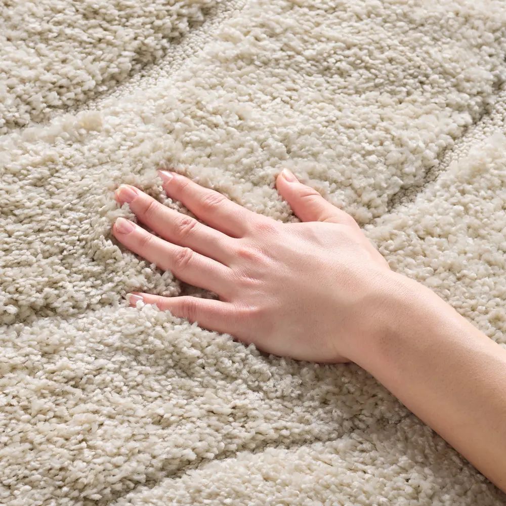 Safavieh Florida Shag 4'-0