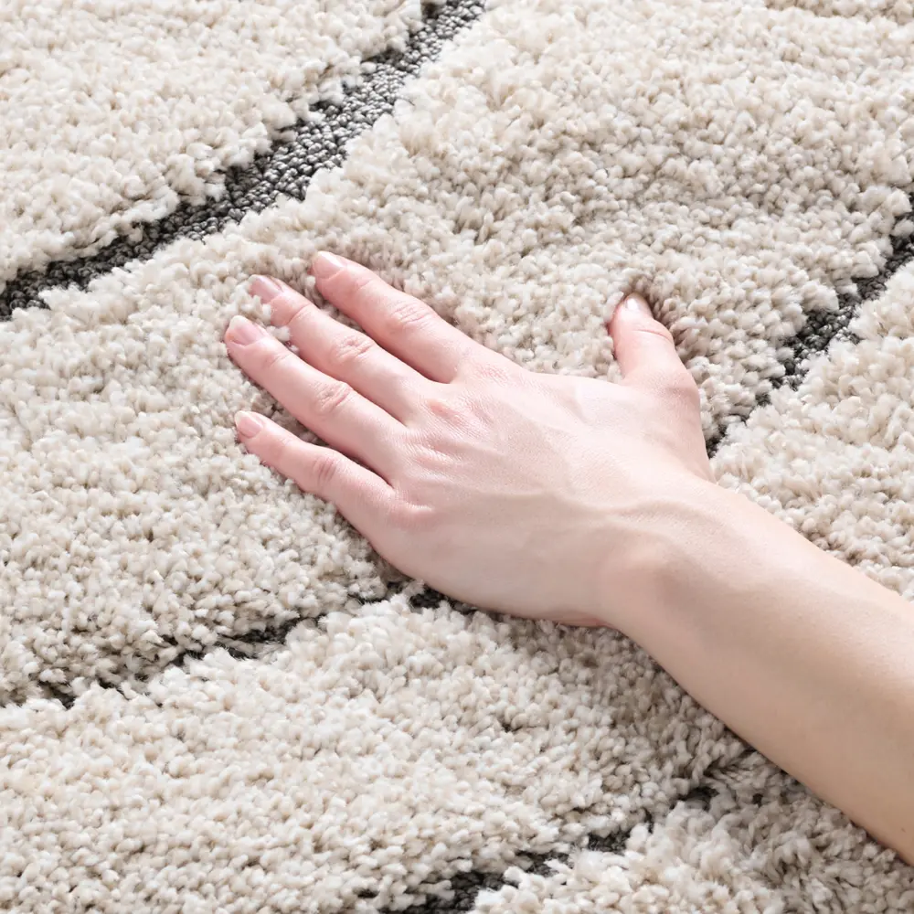 Safavieh Florida Shag 4'-0