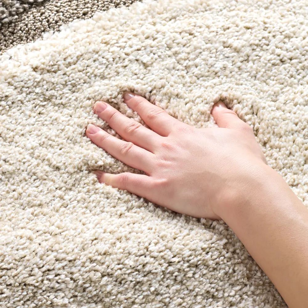 Safavieh Florida Shag 4'-0