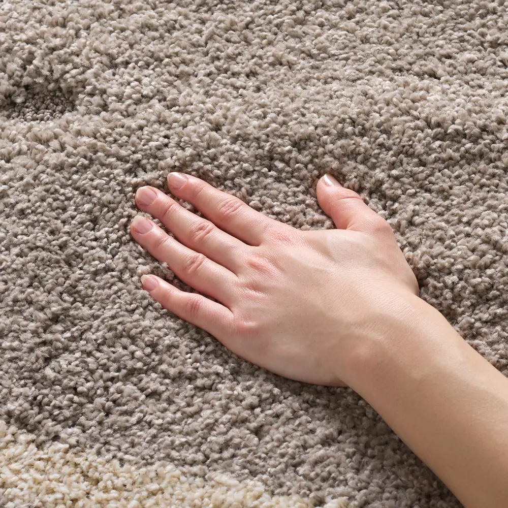 Safavieh Florida Shag 4'-0