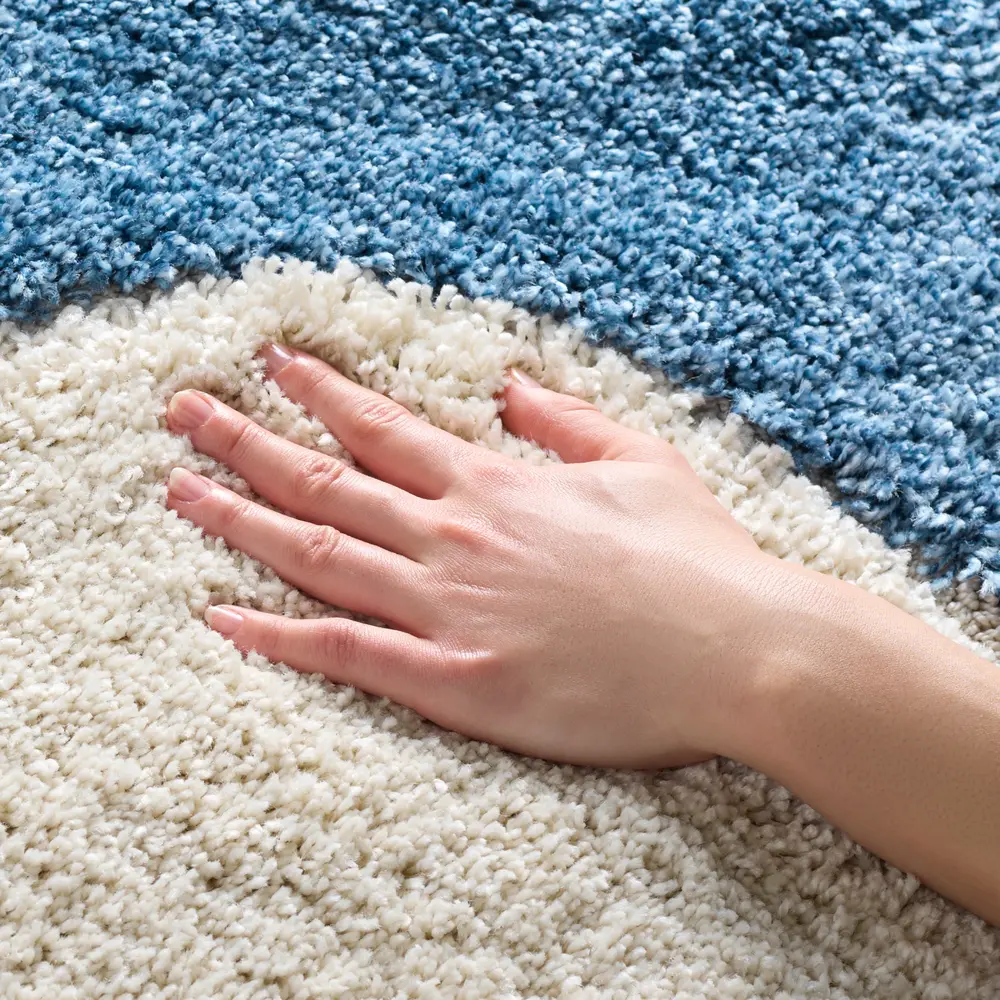 Safavieh Florida Shag 4'-0