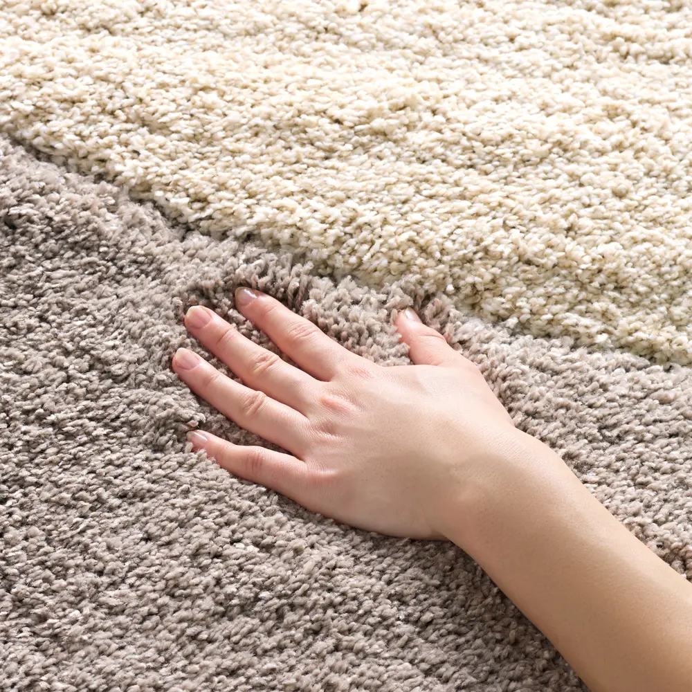 Safavieh Florida Shag 4'-0