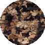 Brown / Multi