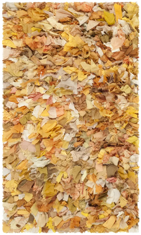 Safavieh Rio Shag 2'-6