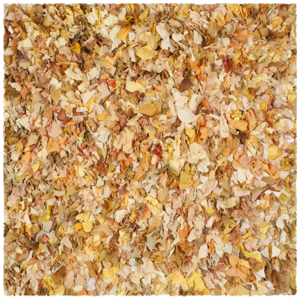 Safavieh Rio Shag 6'-0