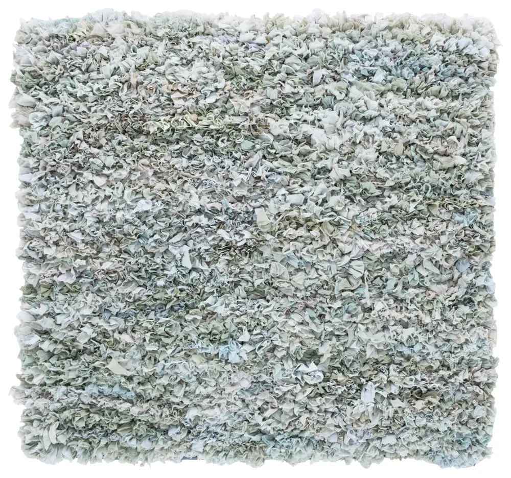 Safavieh Rio Shag 6'-0