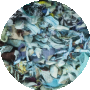 Blue / Multi