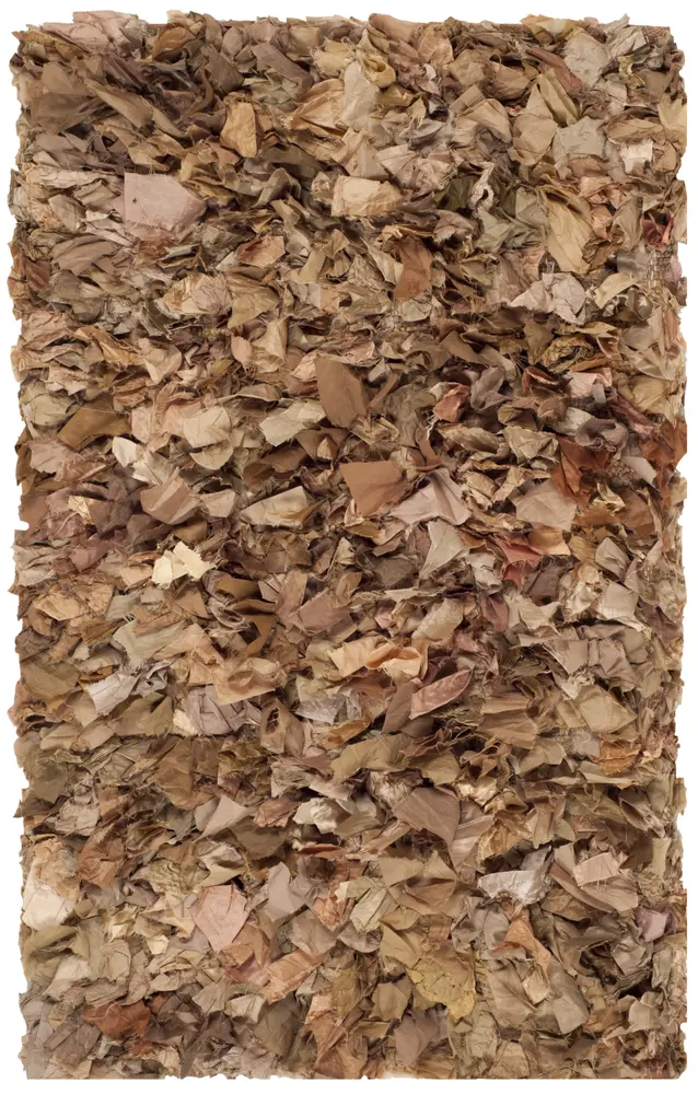 Safavieh Rio Shag 2'-6