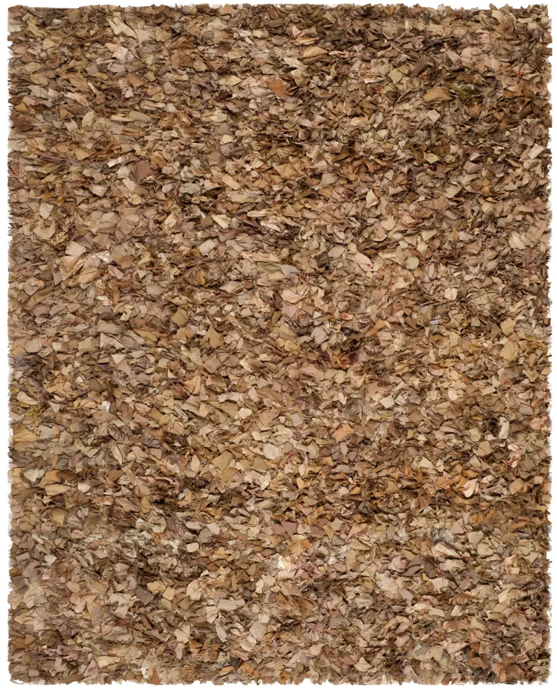 Safavieh Rio Shag 6'-0