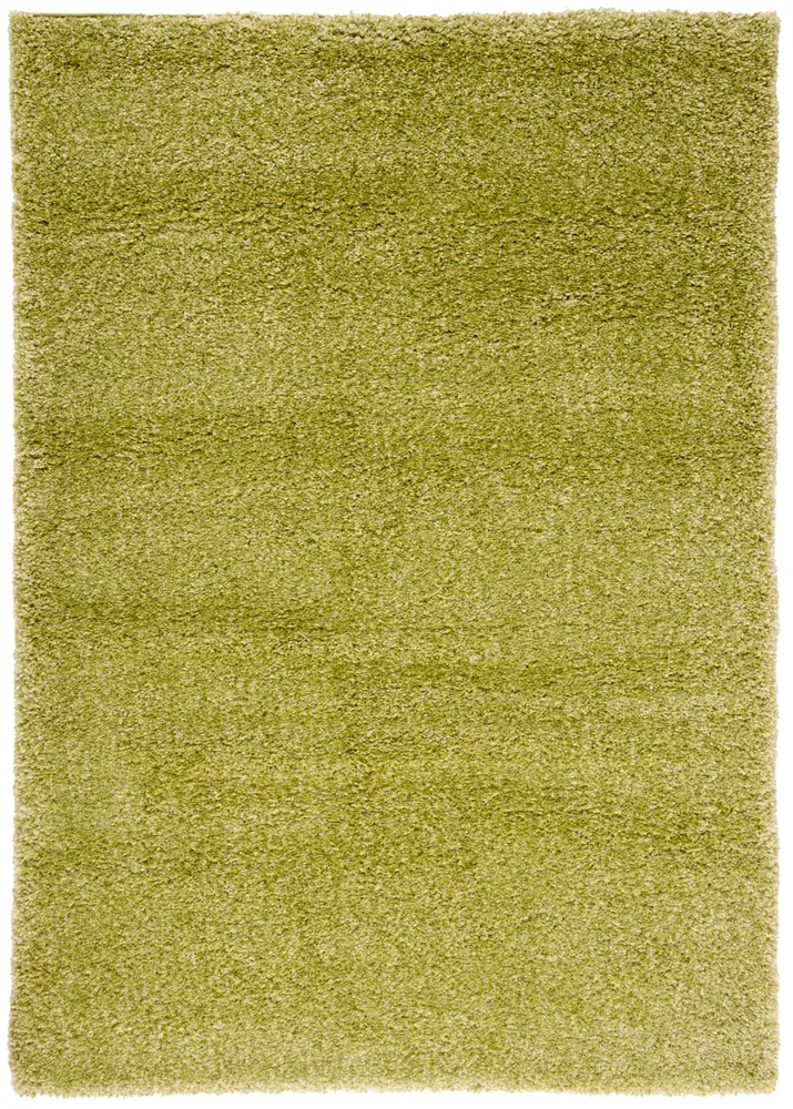 Safavieh Santa Monica Shag 5'-3