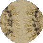Beige / Gold